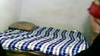 عنتيل مصري في الغابة