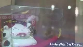 نجم إباحي آسيوي بمؤخرة ضخمة تمص قضيب حبيبها