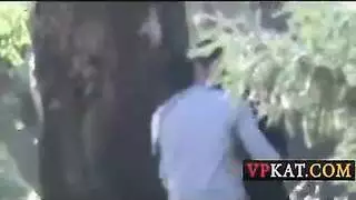 ضرب شرجي في غابة الضريح